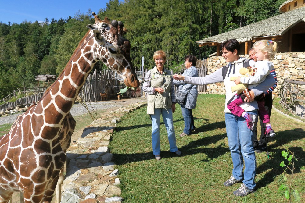 zoo jihlava